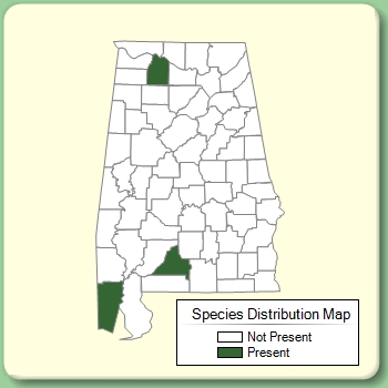 Species Distribution Map