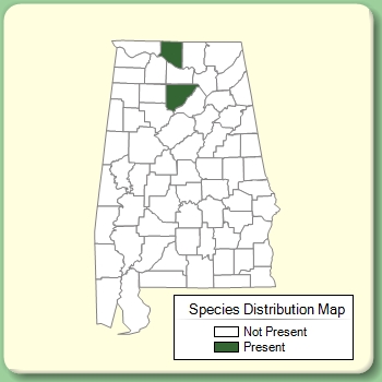 Species Distribution Map