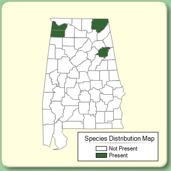 Species Distribution Map