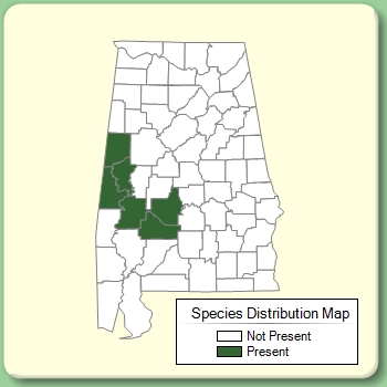 Species Distribution Map