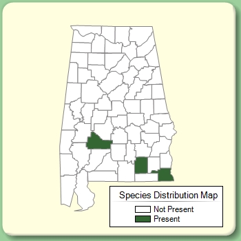 Species Distribution Map