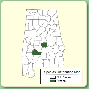 Species Distribution Map