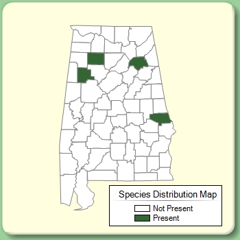 Species Distribution Map