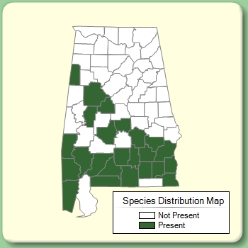 Species Distribution Map