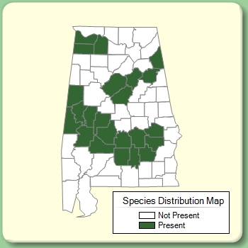 Species Distribution Map