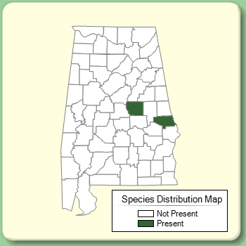 Species Distribution Map