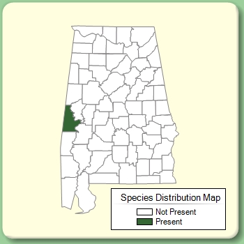 Species Distribution Map