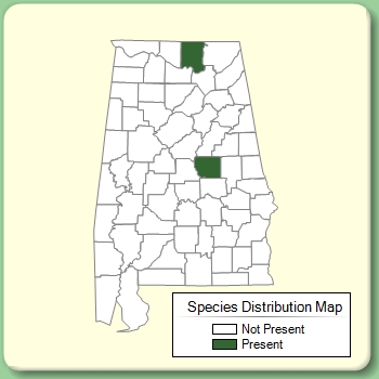 Species Distribution Map