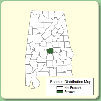 Species Distribution Map