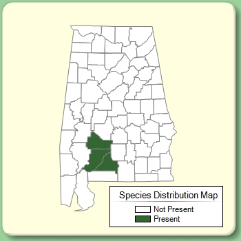 Species Distribution Map