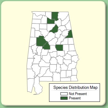 Species Distribution Map