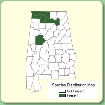 Species Distribution Map