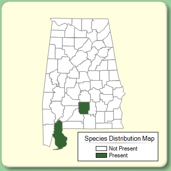 Species Distribution Map