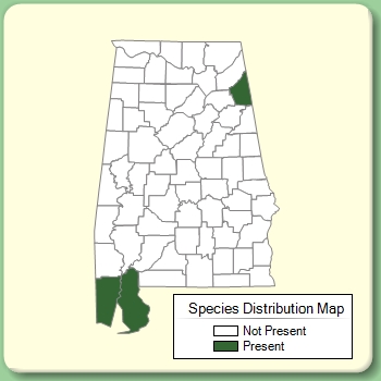 Species Distribution Map