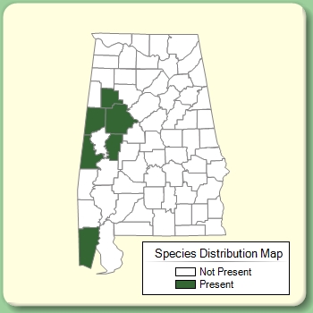 Species Distribution Map