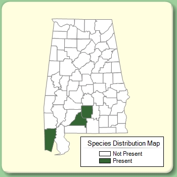 Species Distribution Map