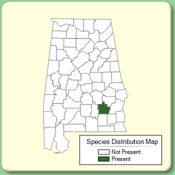 Species Distribution Map