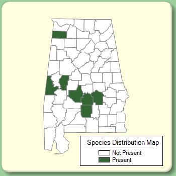 Species Distribution Map