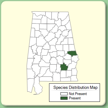 Species Distribution Map