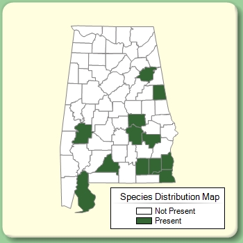 Species Distribution Map