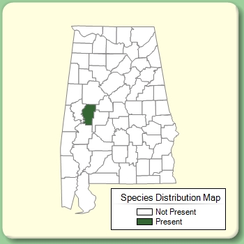 Species Distribution Map