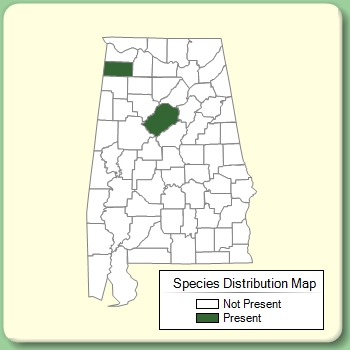 Species Distribution Map