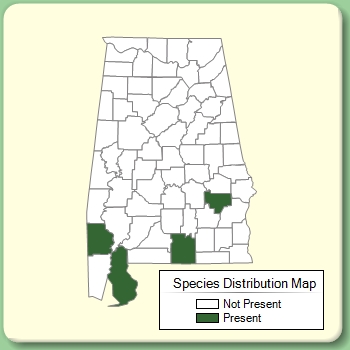 Species Distribution Map