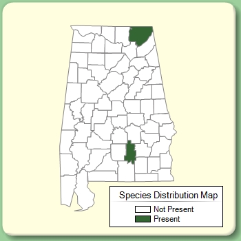 Species Distribution Map