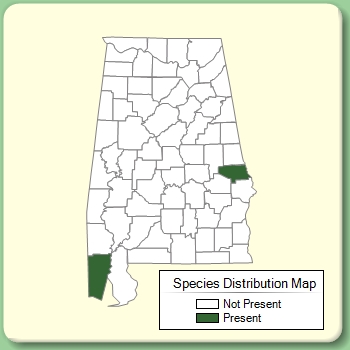 Species Distribution Map