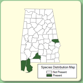 Species Distribution Map