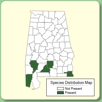 Species Distribution Map