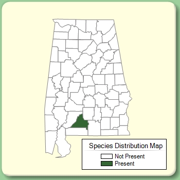 Species Distribution Map