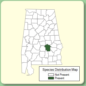 Species Distribution Map