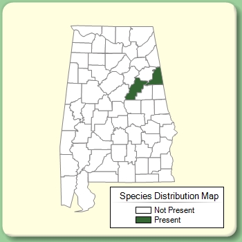 Species Distribution Map