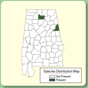 Species Distribution Map