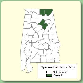 Species Distribution Map