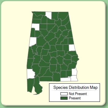 Species Distribution Map