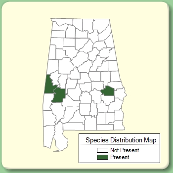 Species Distribution Map