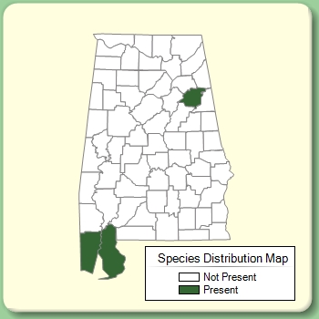 Species Distribution Map