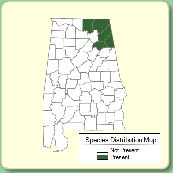 Species Distribution Map