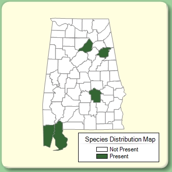 Species Distribution Map