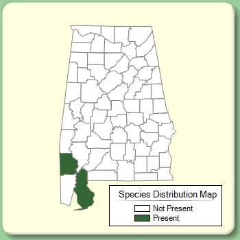 Species Distribution Map