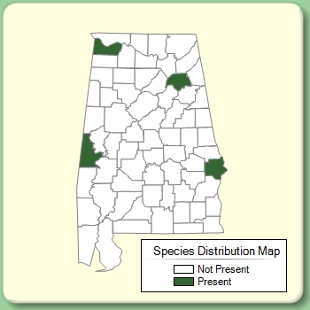 Species Distribution Map