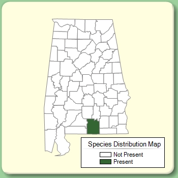 Species Distribution Map