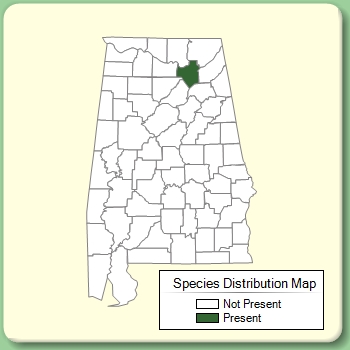 Species Distribution Map