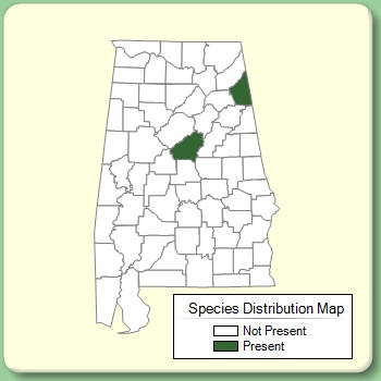 Species Distribution Map