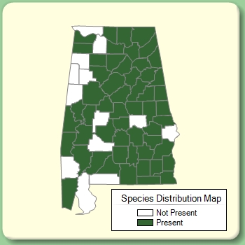 Species Distribution Map