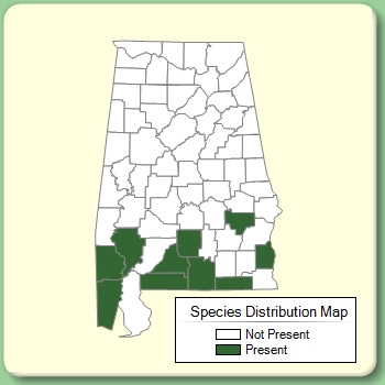 Species Distribution Map