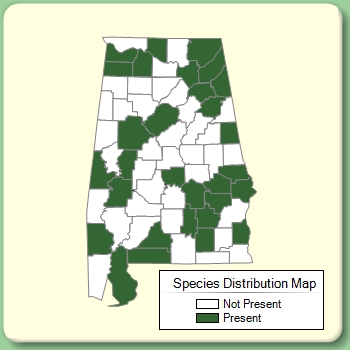 Species Distribution Map