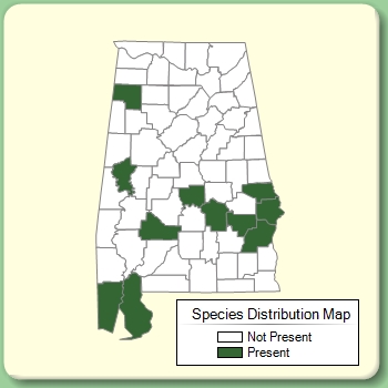 Species Distribution Map